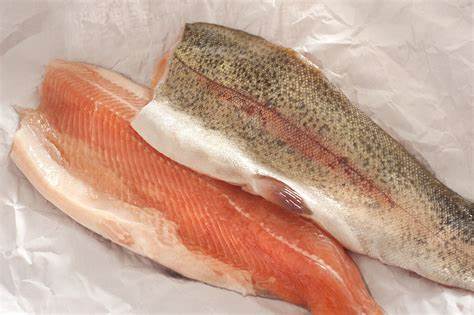 Raw Trout Fish